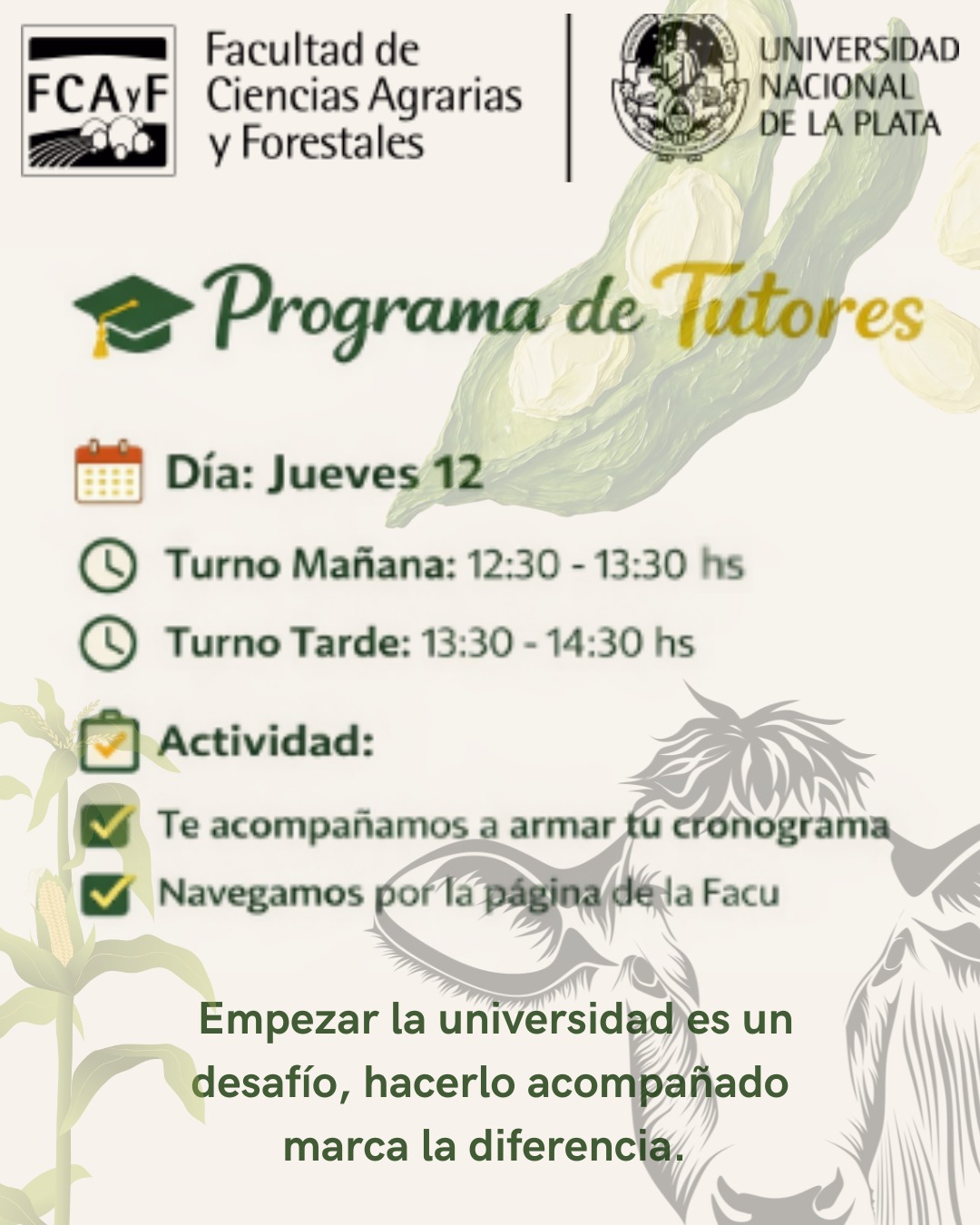 Convocatoria tutorías